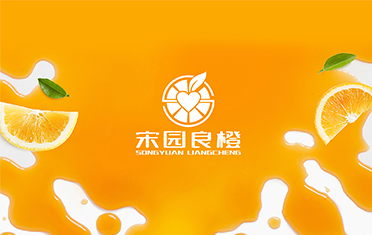 某良橙——朔州LOGO设计
