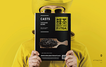 朔州绯茶品牌设计